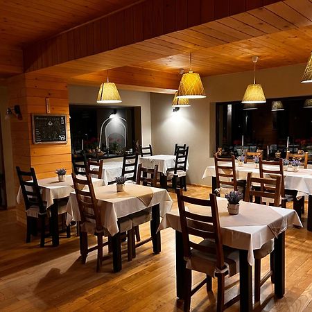 Bucovina Lodge Pension Вама Экстерьер фото