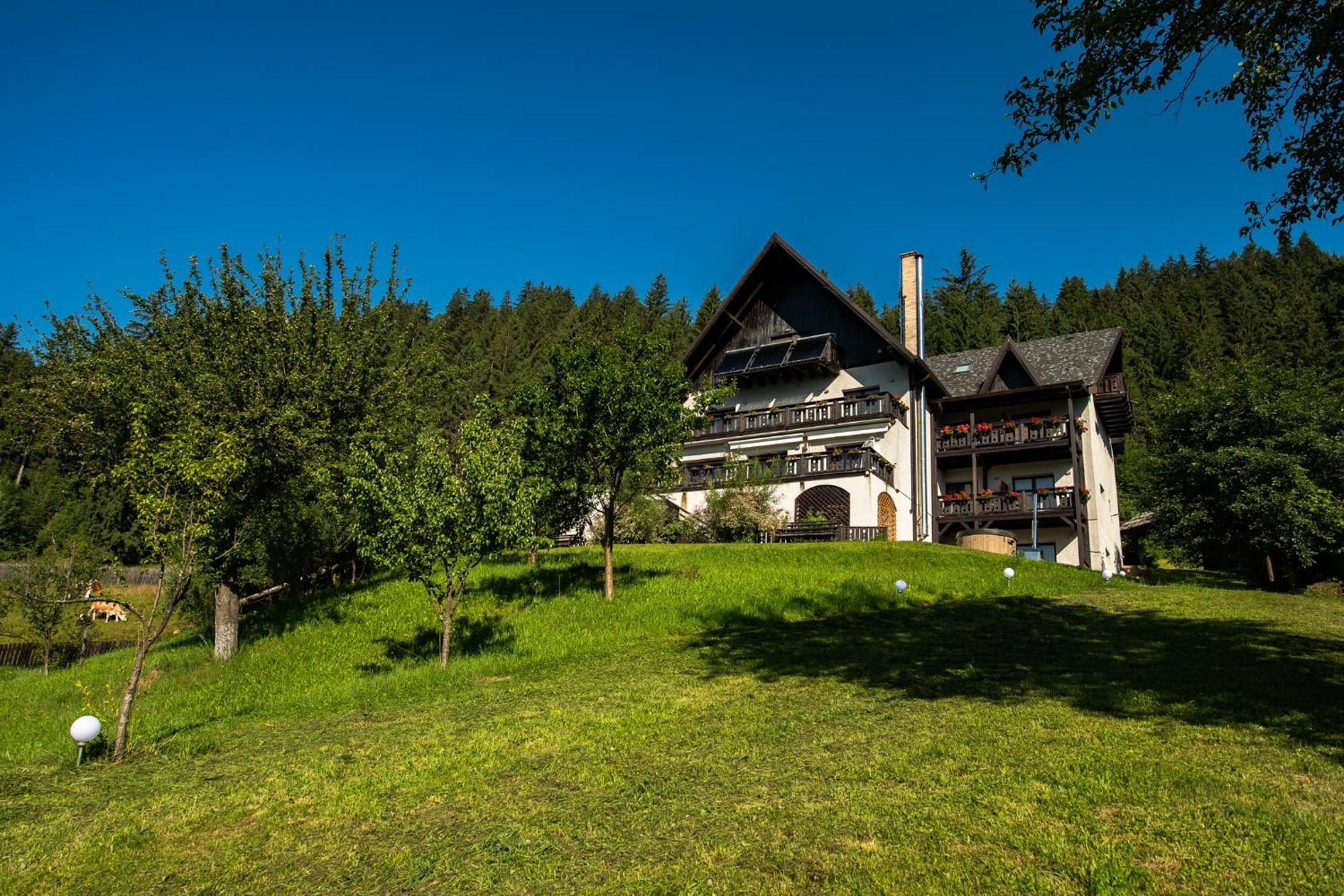 Bucovina Lodge Pension Вама Экстерьер фото