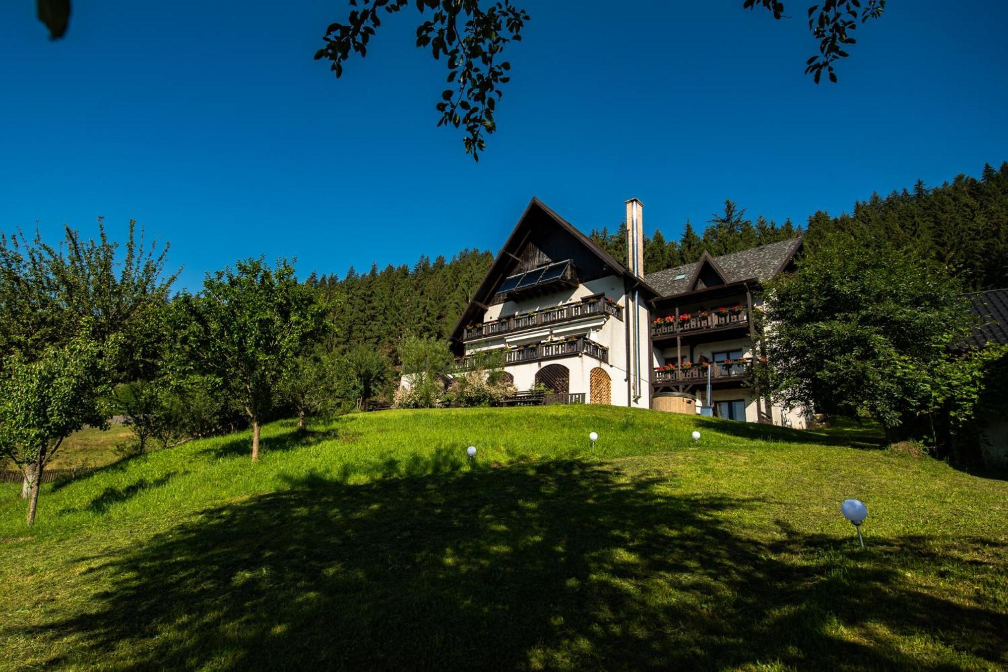 Bucovina Lodge Pension Вама Экстерьер фото